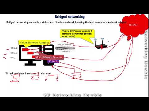 Virtual Machines Networking Configurations -Bridged, NAT, Host Only (1)