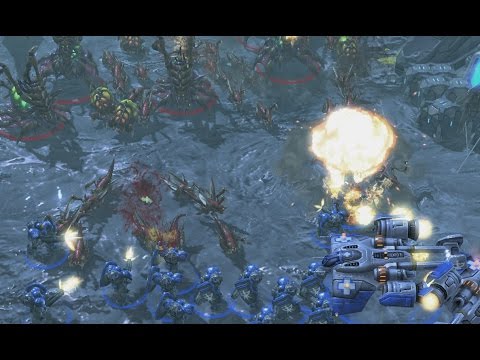 Rhythm in Starcraft - The PiG Daily #139
