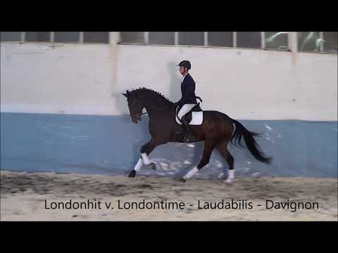 12 Londonhit v  Londontime