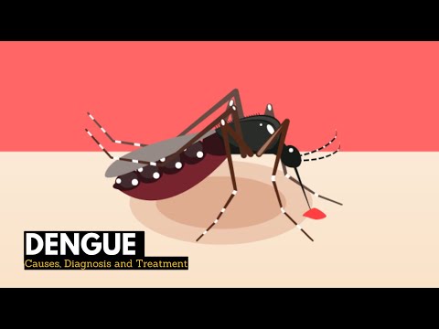 What is Dengue? Causes, Signs and Symptoms, Diagnosis and treatment.