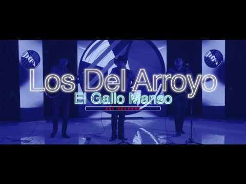 El Gallo Manzo - Los Del Arroyo - (En Vivo) - DEL Records 2018