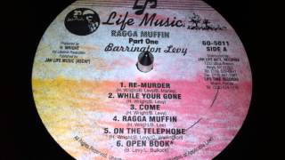 Barrington Levy - While Your Gone