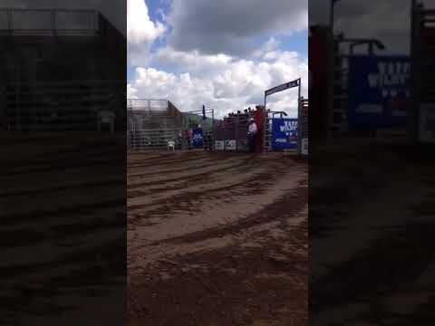 Royal Cash Bug - Rodeo St-André-Avellin 2016