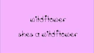 Wildflower by Lauren Alaina (with lyrics on screen)