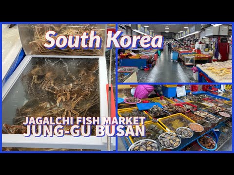 Mercado de Peixe Jagalchi Jung-gu Busan - O Maior Mercado de Frutos do Mar da Coreia - 2023