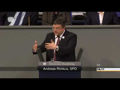 Andreas Rimkus: Elektromobilität [Bundestag 05.03.2015]
