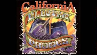The Electric Prunes - Pacific Ocean Blue