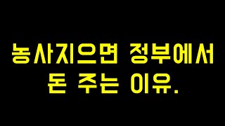 정부가 농민들에게 돈을 주는 이유