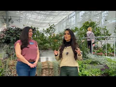 REPORTAJE INSECTARIO MONTREAL