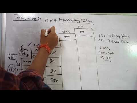 Team fire 64/flp marketing plan/