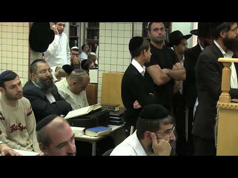 הרב יורם אברג'ל-המסר היומי-איך בוחרים אתרוג?- י"א תשרי תשפ"ד