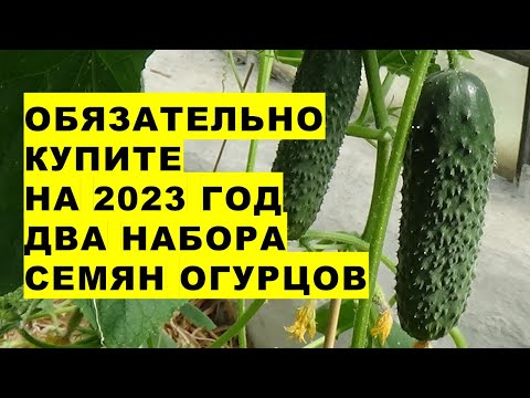 , title : 'Обязательно купите на 2023 год два набора семян огурцов'