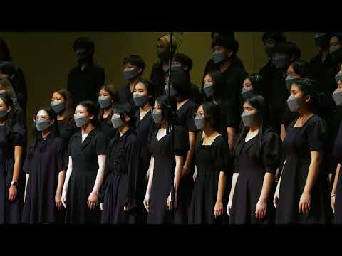 THYCC 2023 - Set Me As a Seal