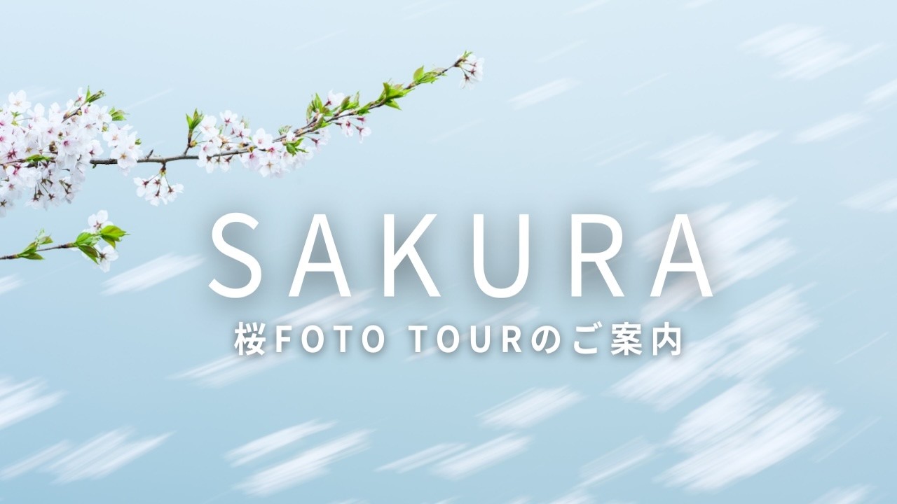 【3月5日予約開始】桜のFOTO TOURのお知らせ
