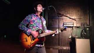 Grant Hart, The Girl Who Lives on Heaven Hill (Live), 05.01.2015, The Sidney, Omaha NE