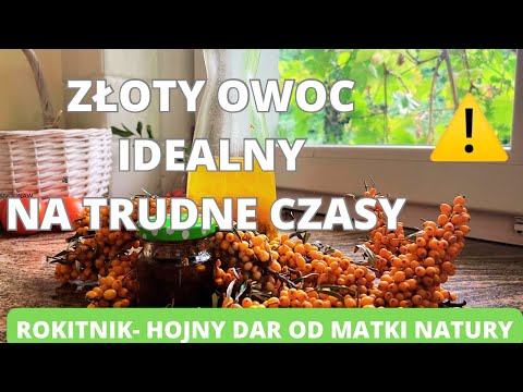 Rokitnik- hojny dar od matki natury. Złoty owoc, idealny na trudne czasy.