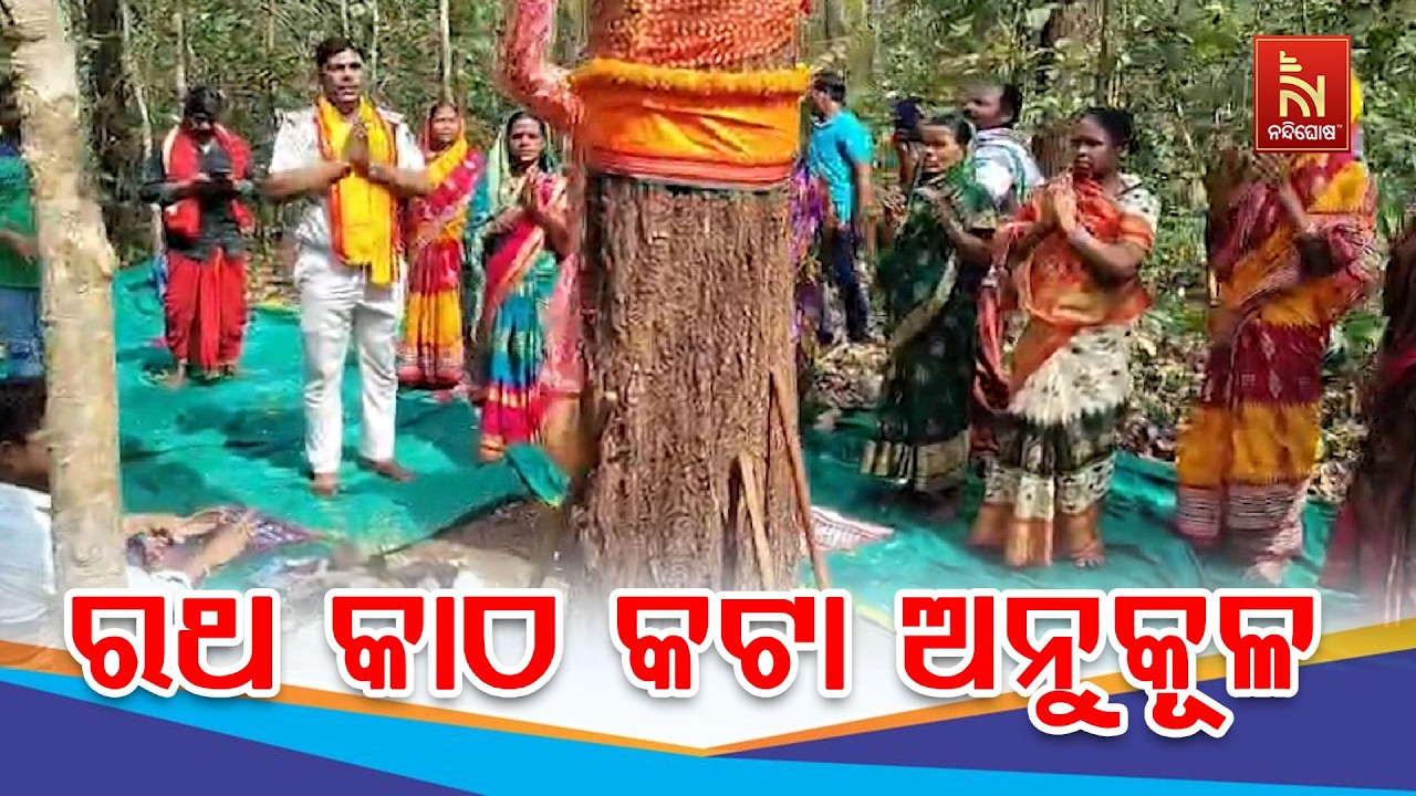 ବୌଦ୍ଧ ଜିଲ୍ଲାର ବିଭିନ୍ନ ରେଞ୍ଜରେ ରଥ କାଠ କଟା ଅନୁକୂଳ କାର୍