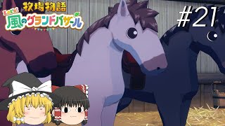 【風のグランドバザール】バザールdeかせーぐ#21【ゆっくり実況プレイ】