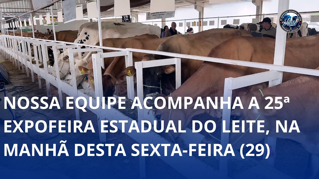 Nossa equipe acompanha a 25ª Expofeira Estadual do Leite, na manhã desta sexta-feira (29)