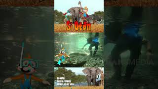 Download lagu Mengintip Kehidupan Si Morea #siotan #siotanjan25 #shorts mp3