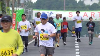 11月4日【びわ湖放送ニュース】県内外から２０００人超えるランナー　茶畑を走る「あいの土山マラソン」