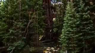 ✿ What A Wonderful World ✿  HD