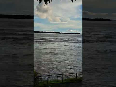 #amazonas #amazônia #itacoatiara