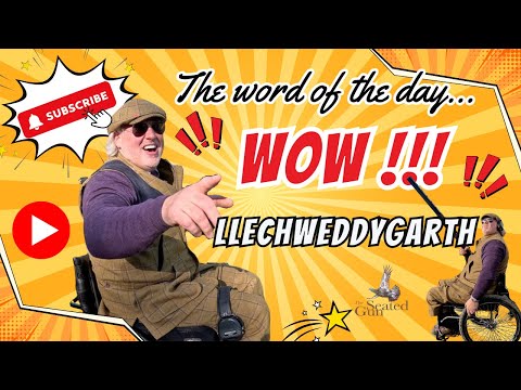 Shooting the amazing, the unbelievable, WOW, Llechweddygarth !   (Shooters Vlogg 71) | Field Sports