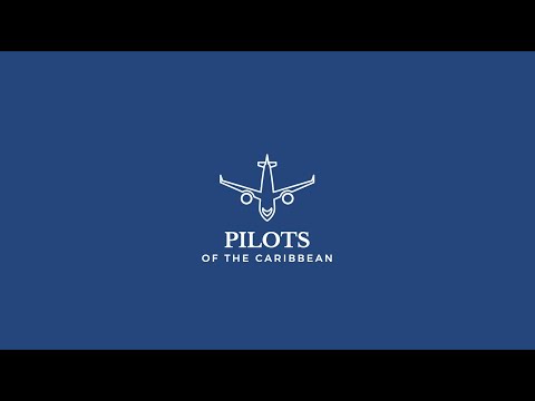 BOEING 737 NG AND MAX DIFFERENCES