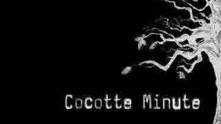 Cocotte minute - czeko