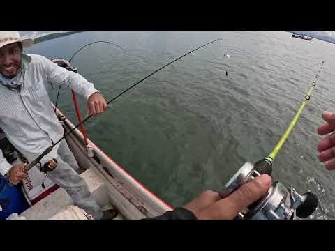 Montijo Nos Sorprendió: ¡Corvinas a Lo Loco! 🎣🌅