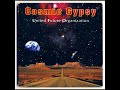 UNITED FUTURE ORGANIZATION  - Cosmic Gypsy