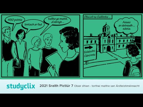 2021 Sraith Pictiúr 7 - Obair dhian, torthaí maithe san Árdteistiméireacht