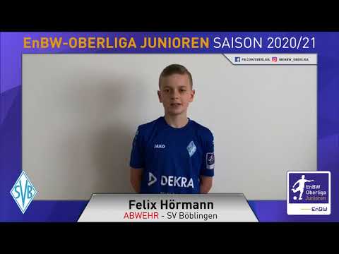 EnBW-Oberliga - SV Böblingen - 20/21 - Felix Hörmann