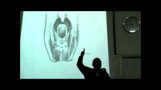 Dr Sherif Glal Neck 14 - muscles of pharynx part 2