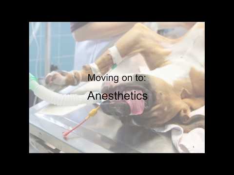 General Anesthetics and CNS Stimulants (VETERINARY TECHNICIAN EDUCATION)