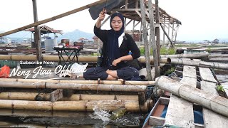 Download lagu SUPER CRAZY FISHING SPOT‼️ Continuous Strike! Giant Carp Appear One by One in Jatinengang! mp3 Download lagu SUPER CRAZY FISHING SPOT‼️ Continuous Strike! Giant Carp Appear One by One in Jatinengang! mp3