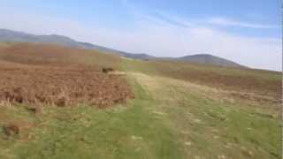 Mountain Biking: Plush Hill, Long Mynd, Church Stretton, Shropshire