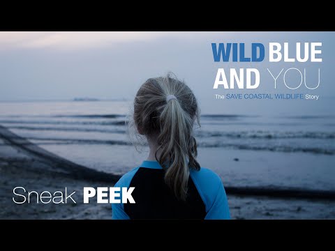 OFFICIAL SNEAK PEEK - Wild Blue and You: The Save Coastal Wildlife Story