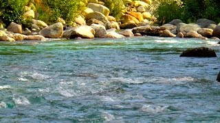 Relaxing Nature Sounds River White Noise | Use for Sleeping, Studying, Writing or Improving Focus