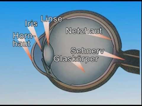 eigentlich sehe ich alles - fast!