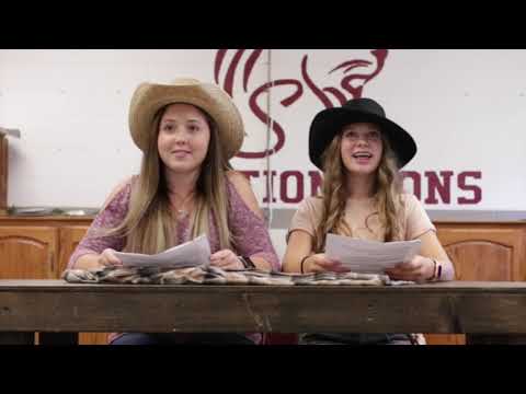 YouTube video