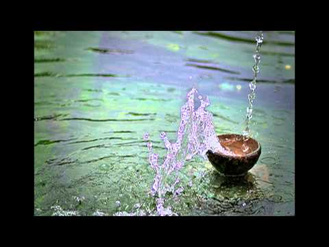 Dominika Gurbaľová - Blahoslavení čistého srdca (Official)