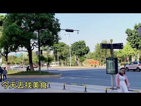 【vlog】走走廣東佛山羅村鎮，景色美空氣好，還喫到正宗四川美食