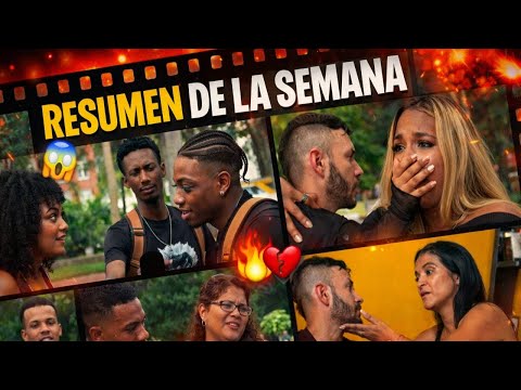 Compilation of the best videos of the week