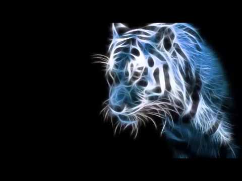 Srdjan Jul - Koketa tekst(480p)