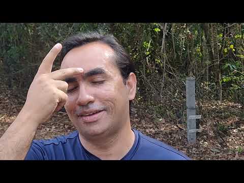 HOLOSSOMATIC SELF-CARE. #SelfCare #Holossoma #Conscientiology #IntegrativeHealth #4K