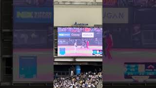 【台灣應援】#premier12 #プレミア12 日本VSキューバ中継 台湾VSオーストラリア@台北ドーム 20241117 #台湾チア #cheerleading #台日友好 #侍ジャパン