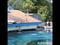 The Mermaids Of Weeki Wachee