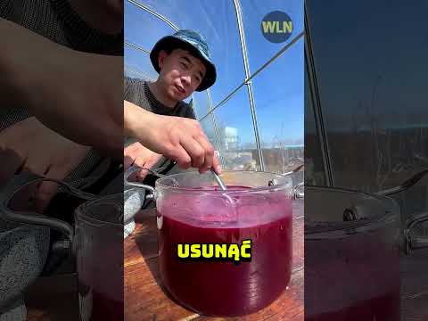 Wykorzystują kaktusy do hodowli robaków! 😱💸